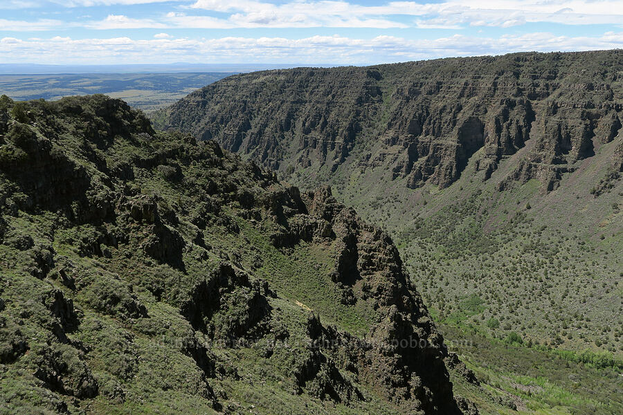 Little Blitzen Gorge [Little Blitzen Overlook, Steens Mountain, Harney County, Oregon]
