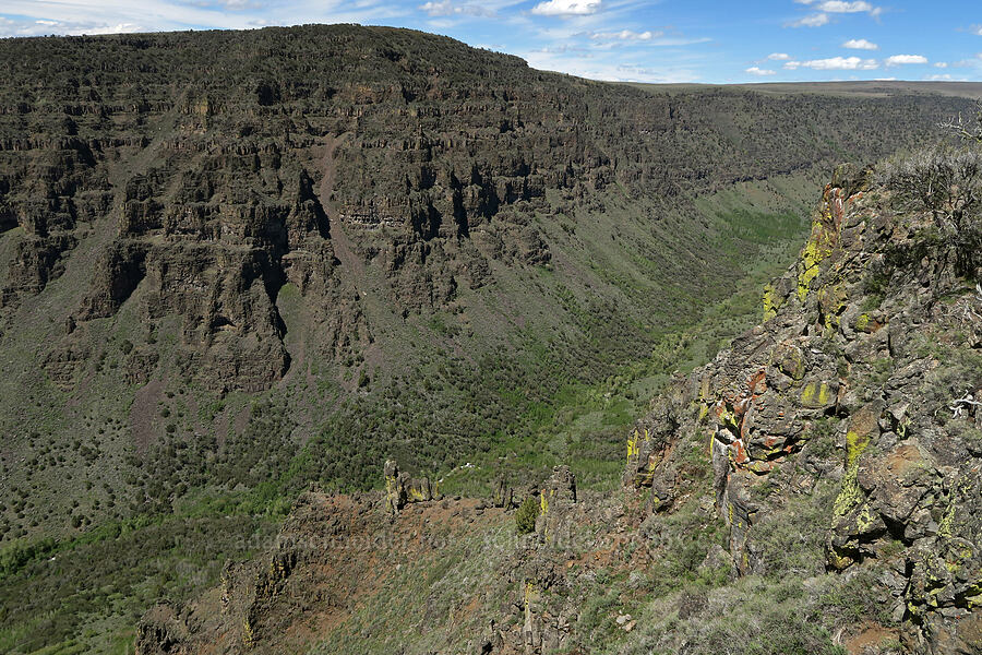 Little Blitzen Gorge [Little Blitzen Overlook, Steens Mountain, Harney County, Oregon]