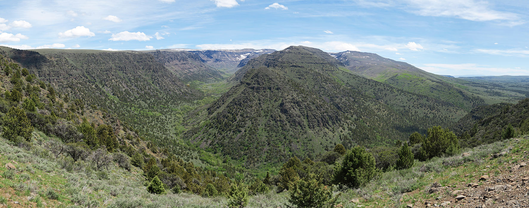 Steens Mountain panorama [South Steens Mountain Loop Road, Harney County, Oregon]