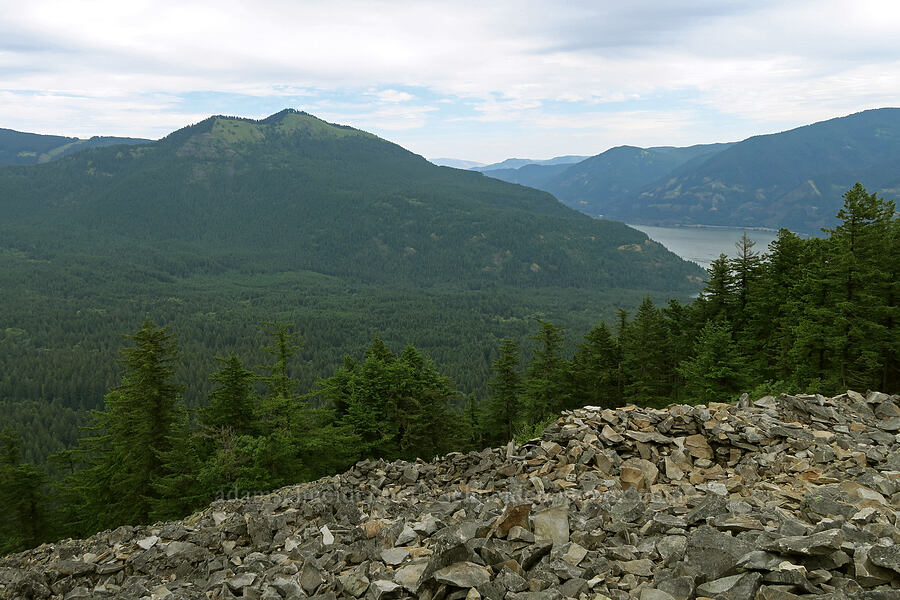 Dog Mountain & Indian pits [Wind Mountain Trail, Gifford Pinchot National Forest, Skamania County, Washington]