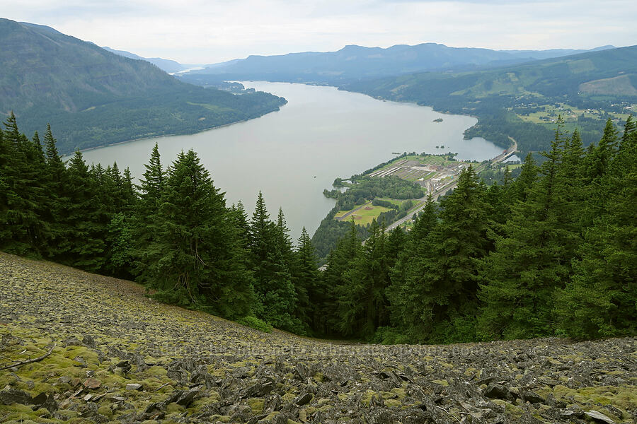 Columbia River & Carson [Wind Mountain Trail, Gifford Pinchot National Forest, Skamania County, Washington]