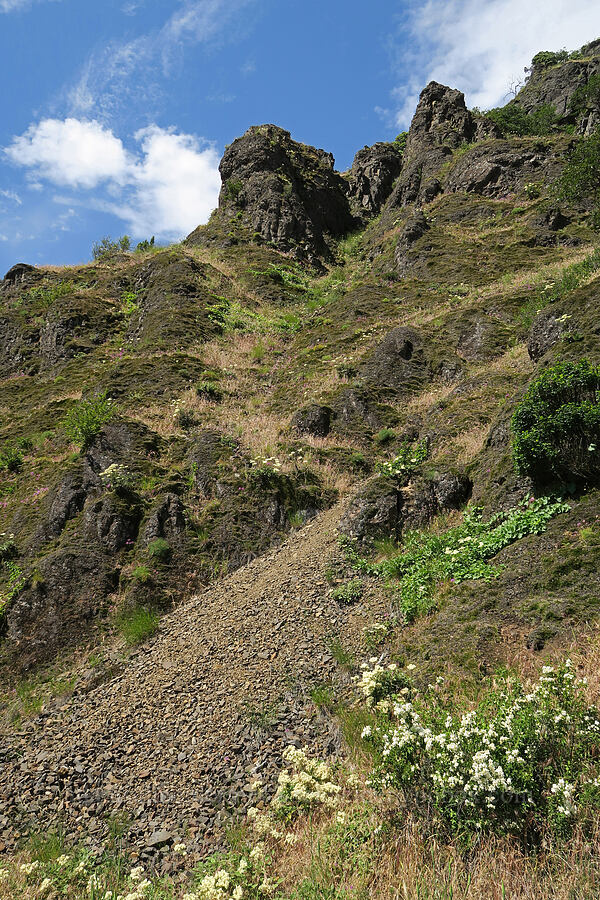 rock pinnacles [Dog Creek Falls Trailhead, Gifford Pinchot National Forest, Skamania County, Washington]