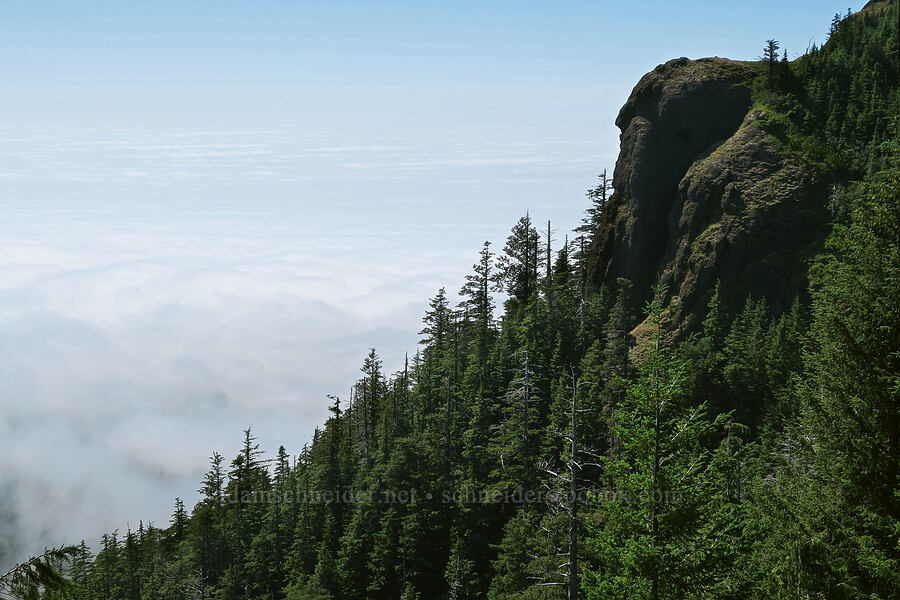 Angora Peak & coastal fog [Angora Peak Trail, Clatsop County, Oregon]