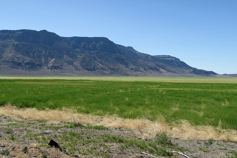 edge of Hart Mountain [Hart Mountain Road, Lake County, Oregon]