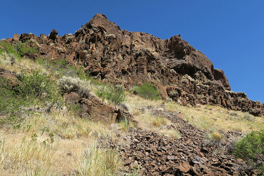 rimrock [DeGarmo Canyon, Hart Mountain National Antelope Refuge, Lake County, Oregon]