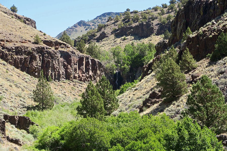 waterfall [DeGarmo Canyon, Hart Mountain National Antelope Refuge, Lake County, Oregon]