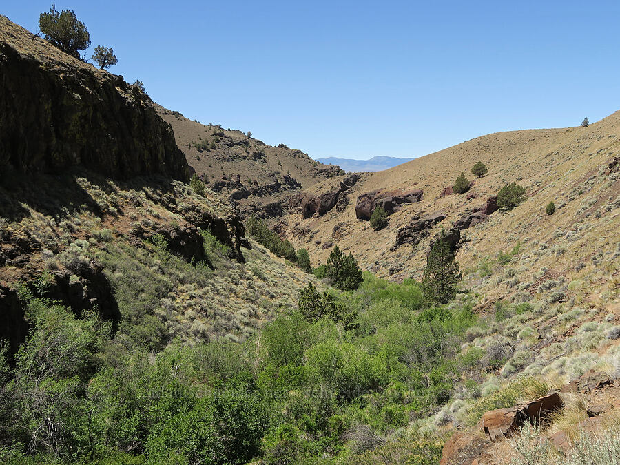 DeGarmo Canyon [DeGarmo Canyon, Hart Mountain National Antelope Refuge, Lake County, Oregon]