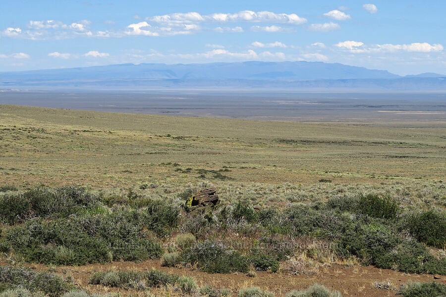 Steens Mountain [Lookout Point, Hart Mountain National Antelope Refuge, Lake County, Oregon]