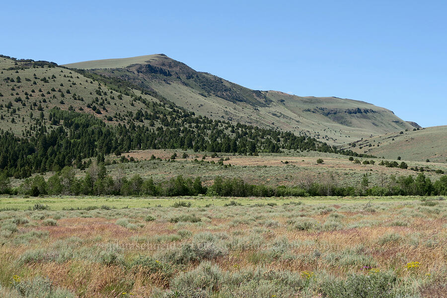 Warner Peak [Blue Sky Road, Hart Mountain National Antelope Refuge, Lake County, Oregon]