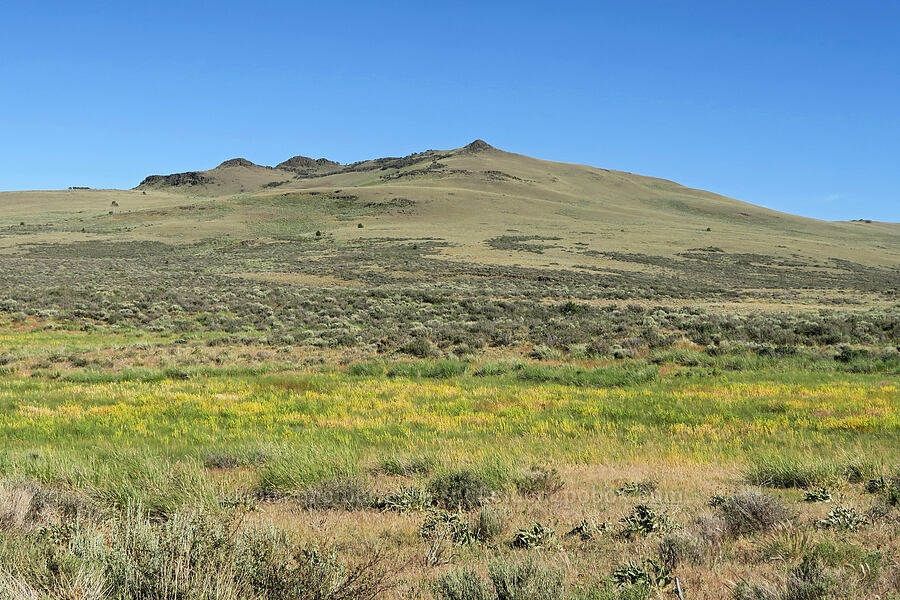 Adams Butte [Hot Springs Road, Hart Mountain National Antelope Refuge, Lake County, Oregon]