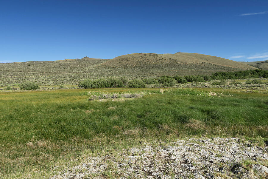 hot springs & sagebrush [Hart Mountain Hot Springs, Hart Mountain National Antelope Refuge, Lake County, Oregon]