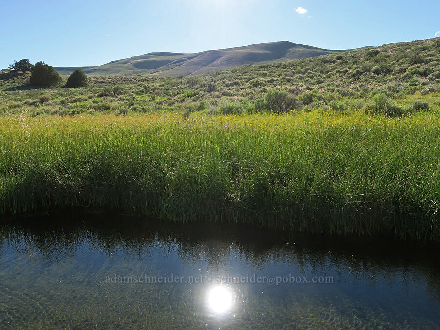 hot spring [Hart Mountain Hot Springs, Hart Mountain National Antelope Refuge, Lake County, Oregon]