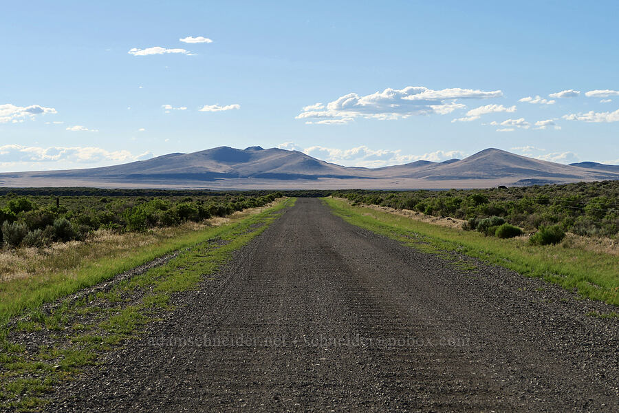 Rabbit Hills [Flagstaff Lake Road, Lake County, Oregon]