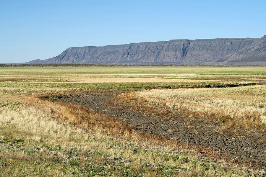 Hart Mountain & Warner Valley [Flagstaff Lake Road, Lake County, Oregon]