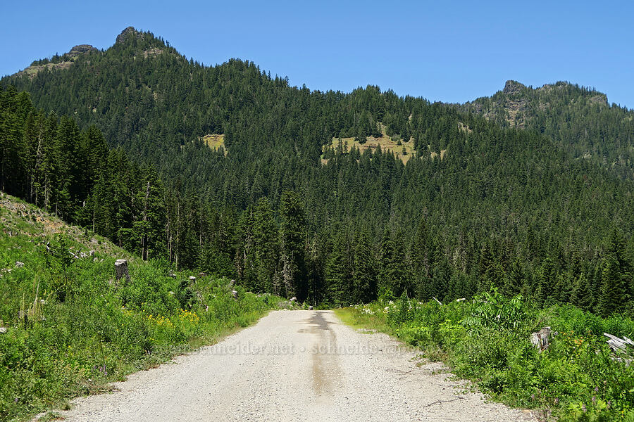 South Pyramid & Middle Pyramid [Forest Road 2067-560, Willamette National Forest, Linn County, Oregon]