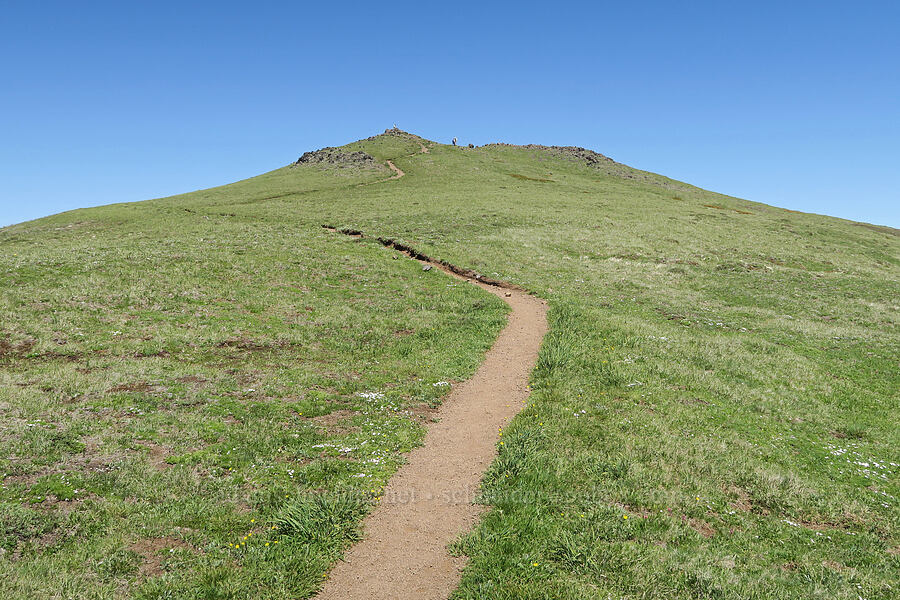 Mount Townsend [Mount Townsend, Buckhorn Wilderness, Jefferson County, Washington]