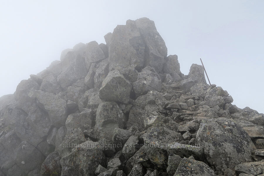 top of Three Corner Rock [Three Corner Rock, Gifford Pinchot National Forest, Skamania County, Washington]