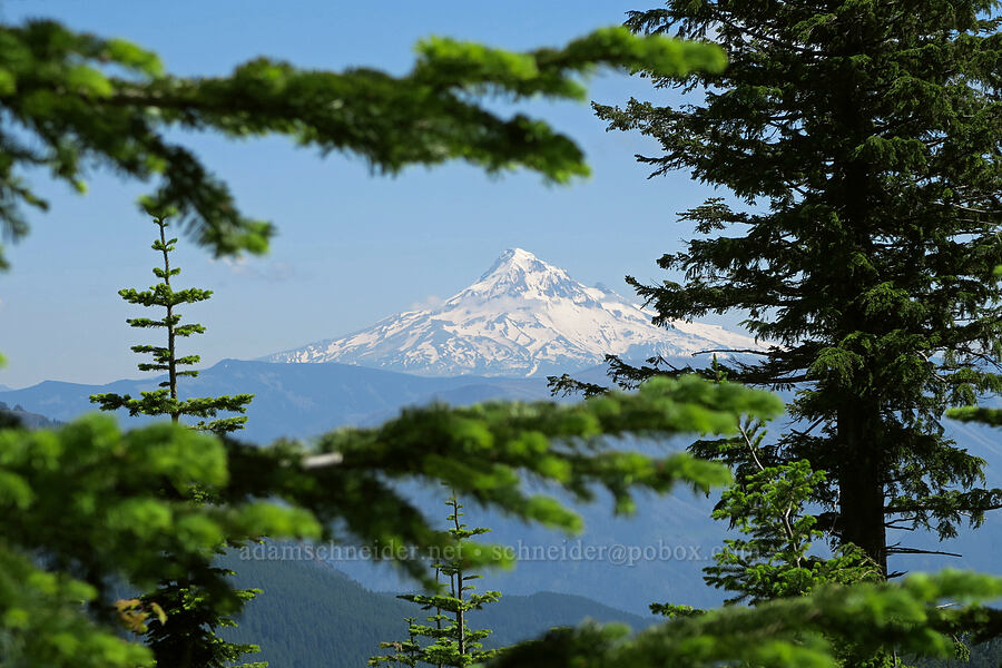 Mount Hood [Road CG-1500A, Gifford Pinchot National Forest, Skamania County, Washington]