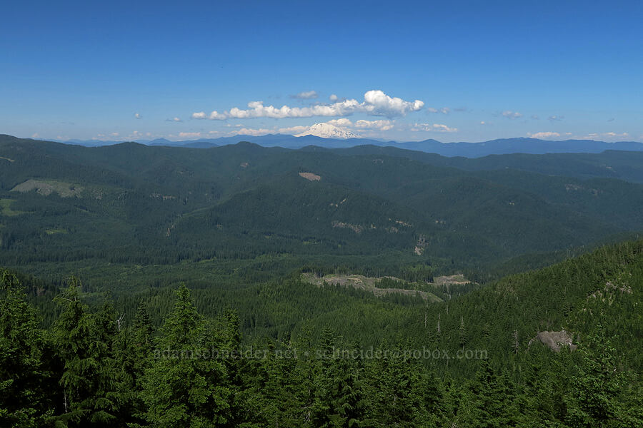 Mount Adams [Pacific Crest Trail, Gifford Pinchot National Forest, Skamania County, Washington]