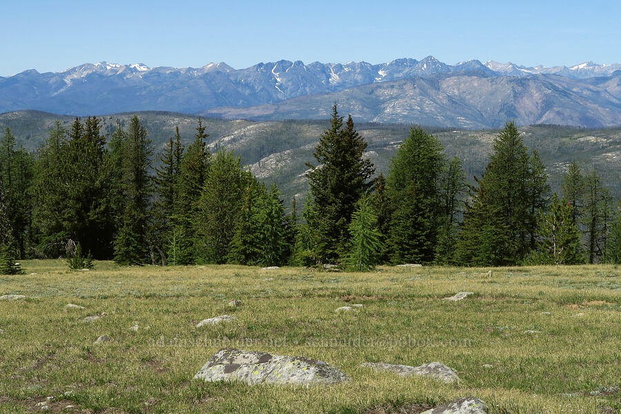 view to the west-northwest [Freezeout Ridge Trail, Okanogan-Wenatchee National Forest, Okanogan County, Washington]
