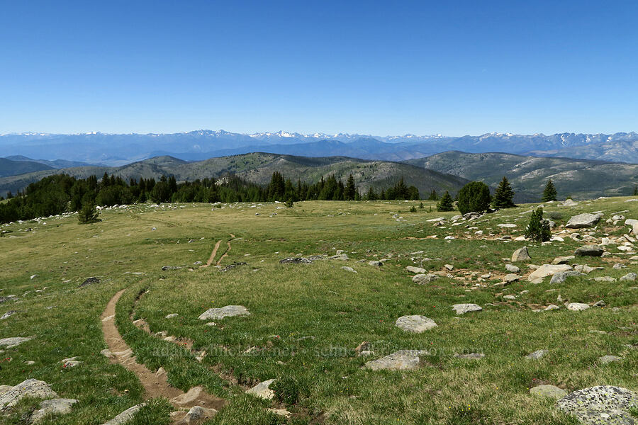 Freezeout Ridge & the North Cascades [Freezeout Ridge Trail, Okanogan-Wenatchee National Forest, Okanogan County, Washington]