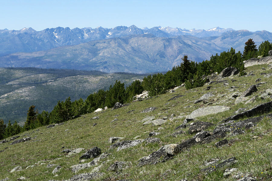 view to the west-northwest [Tiffany Mountain, Okanogan-Wenatchee National Forest, Okanogan County, Washington]