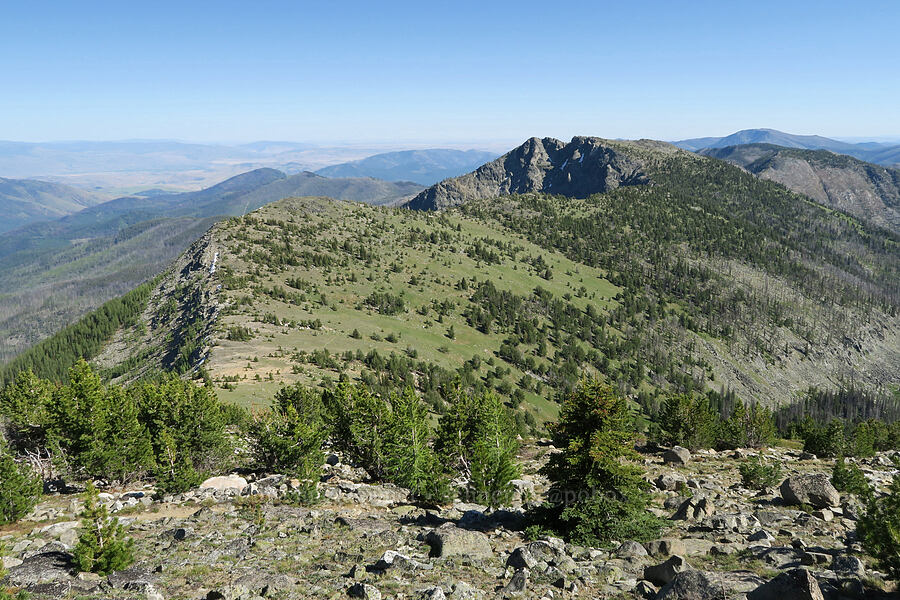 Clark Peak [Tiffany Mountain, Okanogan-Wenatchee National Forest, Okanogan County, Washington]