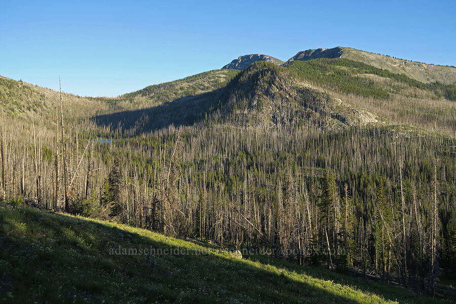 Tiffany Mountain [Forest Road 39, Okanogan-Wenatchee National Forest, Okanogan County, Washington]