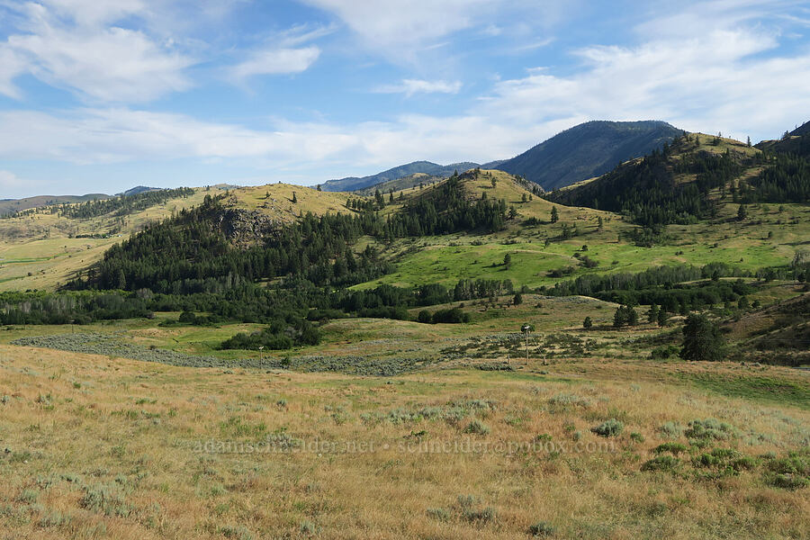 hills above Graveyard Flat [Silver Hill Road, Okanogan County, Washington]