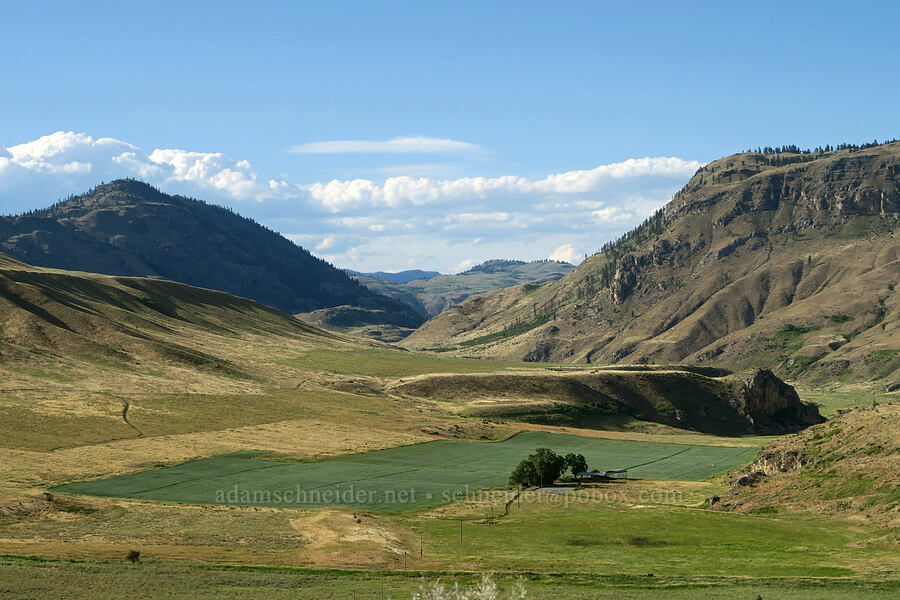 Coulee Creek Valley & Dunn Mountain [Conconully Road, Okanogan County, Washington]