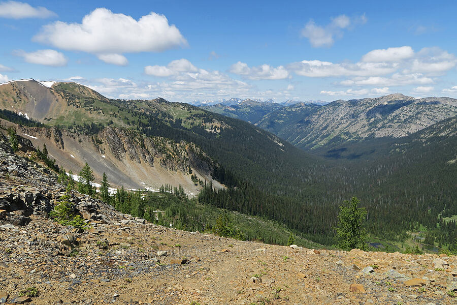 Slate Creek Valley (Ninetynine Basin) [Pacific Crest Trail, Okanogan-Wenatchee National Forest, Whatcom County, Washington]