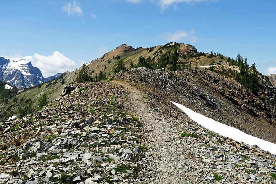 Tatie Peak [Pacific Crest Trail, Okanogan-Wenatchee National Forest, Whatcom County, Washington]