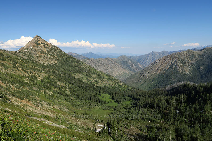 Cone Mountain & Trout Creek Valley [Pacific Crest Trail, Okanogan-Wenatchee National Forest, Okanogan County, Washington]
