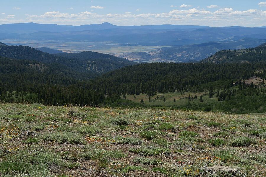 view to the west [Twelvemile Peak, Fremont-Winema National Forest, Lake County, Oregon]