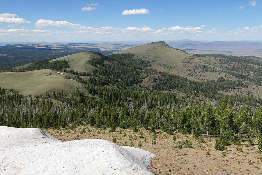 McDowell Peak & Crook Peak [Twelvemile Peak, Fremont-Winema National Forest, Lake County, Oregon]