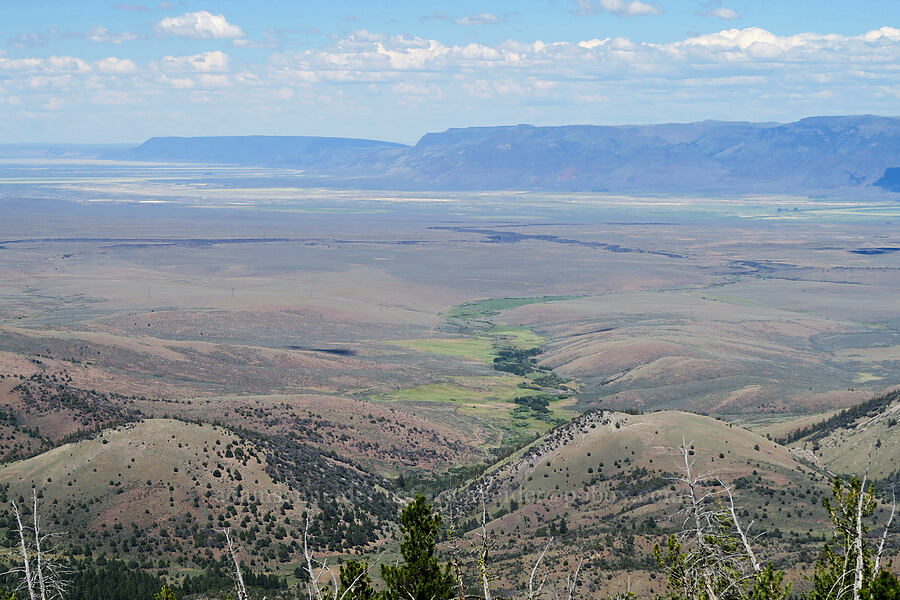 Warner Valley & Hart Mountain [Twelvemile Peak, Fremont-Winema National Forest, Lake County, Oregon]