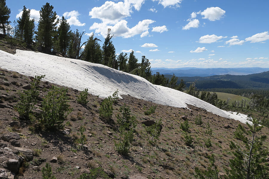 snowfield [Twelvemile Peak, Fremont-Winema National Forest, Lake County, Oregon]
