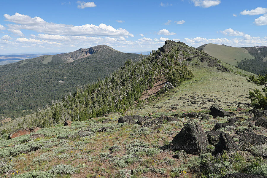 Drake Peak, Twelvemile Peak, & Light Peak [Twelvemile Peak, Fremont-Winema National Forest, Lake County, Oregon]