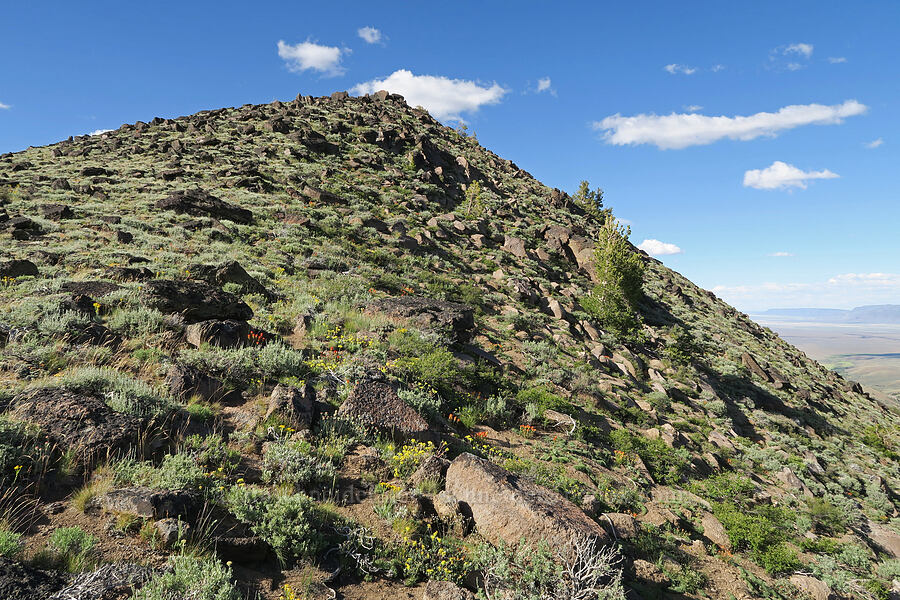 summit of Twelvemile Peak [Twelvemile Peak, Fremont-Winema National Forest, Lake County, Oregon]