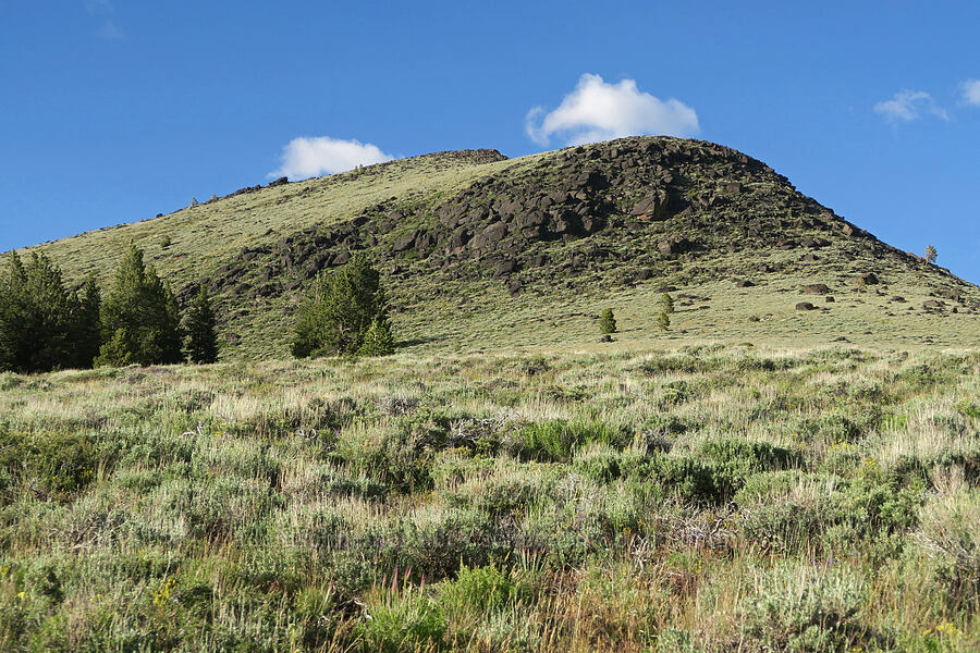 Twelvemile Peak [Twelvemile Peak, Fremont-Winema National Forest, Lake County, Oregon]