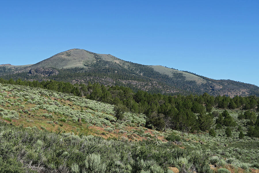 Drake Peak [Plush Cutoff Road, Lake County, Oregon]
