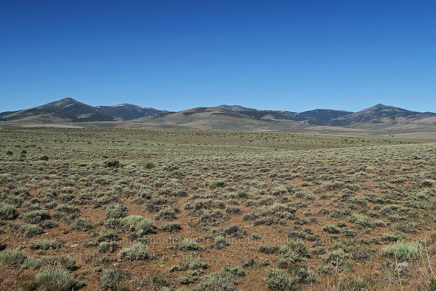 North Warner Mountains [Plush Cutoff Road, Lake County, Oregon]