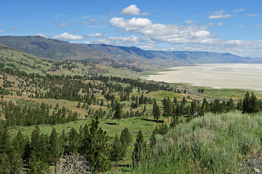 Summer Lake & Winter Ridge [Forest Road 29, Fremont-Winema National Forest, Lake County, Oregon]