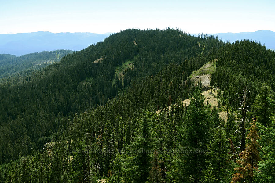 Balm Mountain [Balm Mountain, Umpqua National Forest, Douglas County, Oregon]