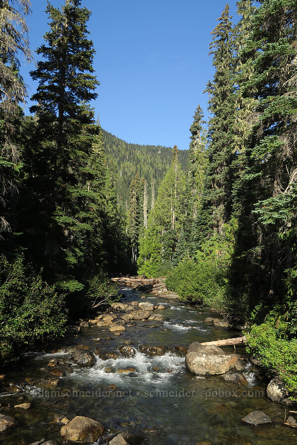 Cle Elum River [Cathedral Pass Trail, Okanogan-Wenatchee National Forest, Kittitas County, Washington]
