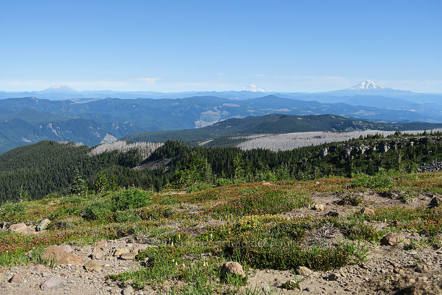 three volcanoes [above McNeil Point, Mt. Hood Wilderness, Hood River County, Oregon]