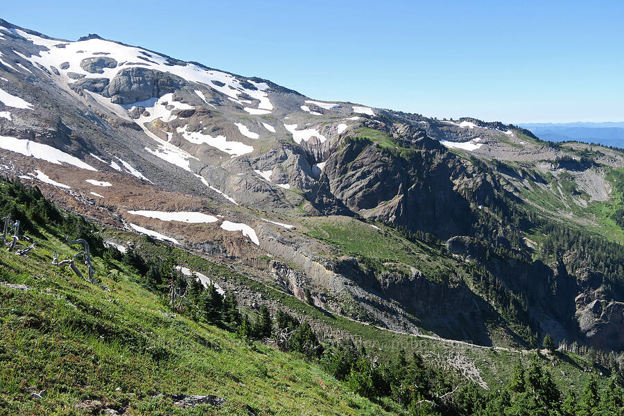 Yocum Ridge [above McNeil Point, Mt. Hood Wilderness, Clackamas County, Oregon]