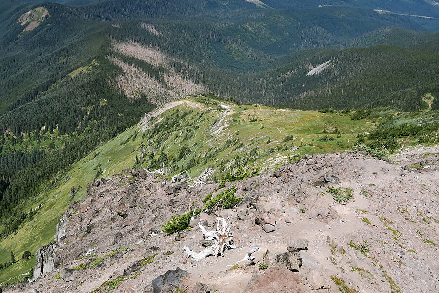 McNeil Point [Ho Rock, Mt. Hood Wilderness, Hood River County, Oregon]