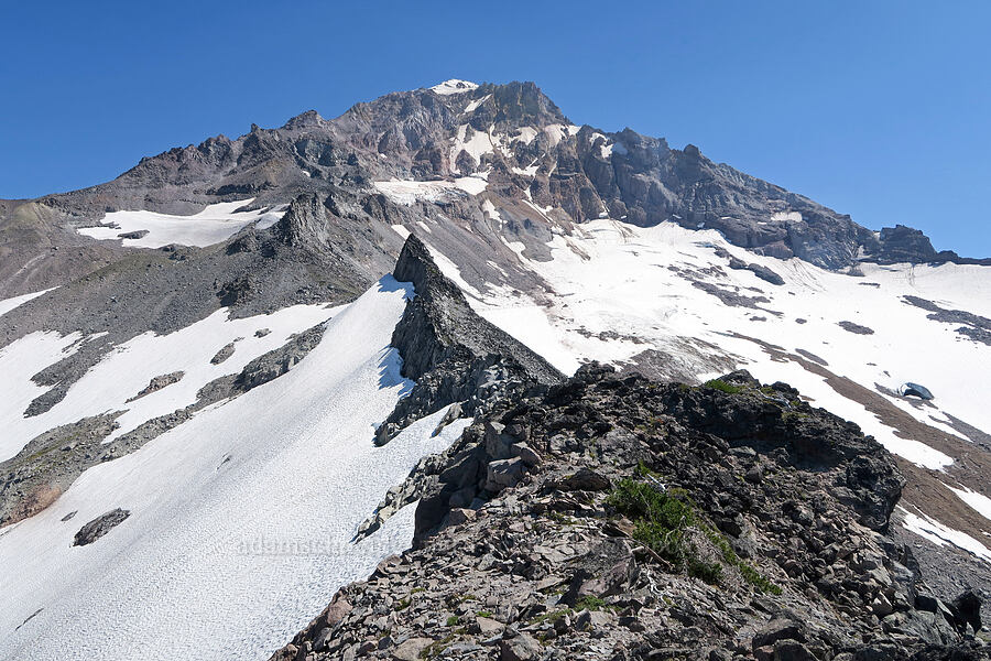Mount Hood, Co Rock, & glaciers [Cathedral Ridge, Mt. Hood Wilderness, Hood River County, Oregon]