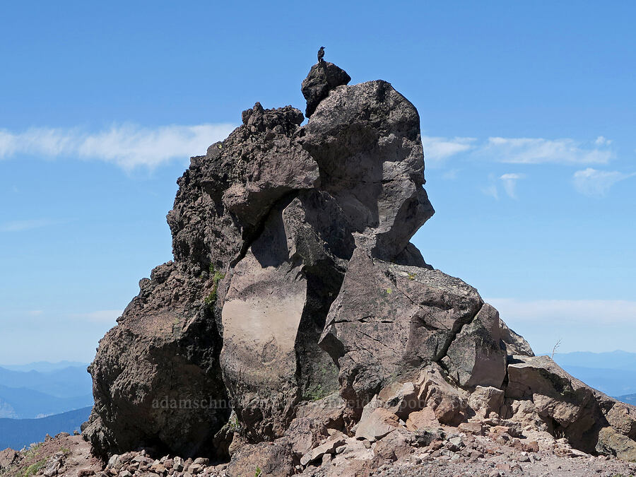 raven on Ho Rock (Corvus corax) [Cathedral Ridge, Mt. Hood Wilderness, Clackamas County, Oregon]
